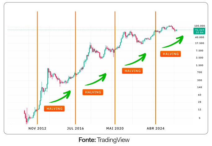 Os ciclos de mercado do Bitcoin: por que os preços sobem e descem?